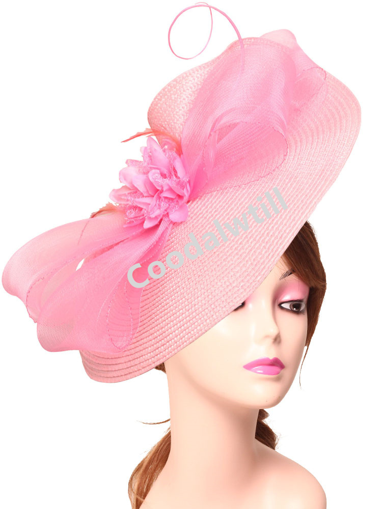 Elegant Tea Party Fascinator P - Women'S Fashion Kentucky Derby ulasan dan harga